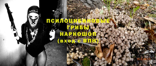 прущая мука Абаза