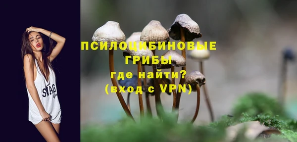 амф Абинск