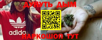 альфа пвп Владикавказ
