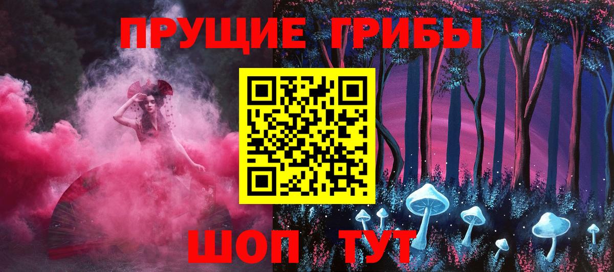 Псилоцибиновые грибы Cubensis Азнакаево