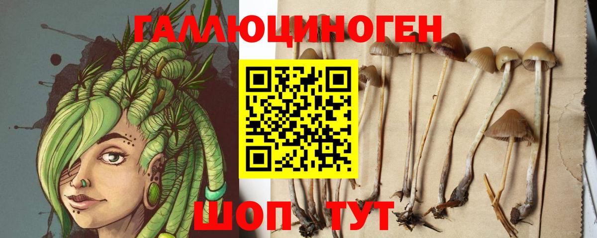 Азнакаево  Галлюциногенные грибы Magic Shrooms  Вход с VPN 
